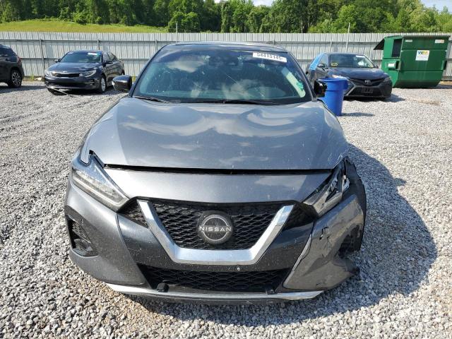  NISSAN MAXIMA 2023 Серый