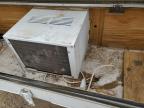 1995 Coleman Rio Grande for Sale in Sikeston, MO - Hail