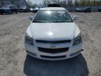 2011 Chevrolet Malibu 1Lt იყიდება York Haven-ში, PA - Minor Dent/Scratches