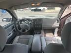 2005 Dodge Dakota Quad იყიდება Phoenix-ში, AZ - Minor Dent/Scratches