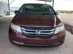 2016 Honda Odyssey Exl zu verkaufen in Phoenix, AZ - Front End