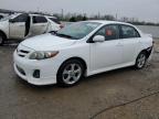 2012 Toyota Corolla Base за продажба в Louisville, KY - Hail
