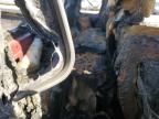 2010 Ford Ranger Super Cab for Sale in Pasco, WA - Burn