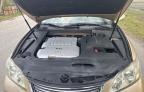 2008 Lexus Es 350 للبيع في West Palm Beach، FL - Minor Dent/Scratches