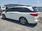 Gastonia, NC에서 판매 중인 2019 Honda Odyssey Exl   - Front End