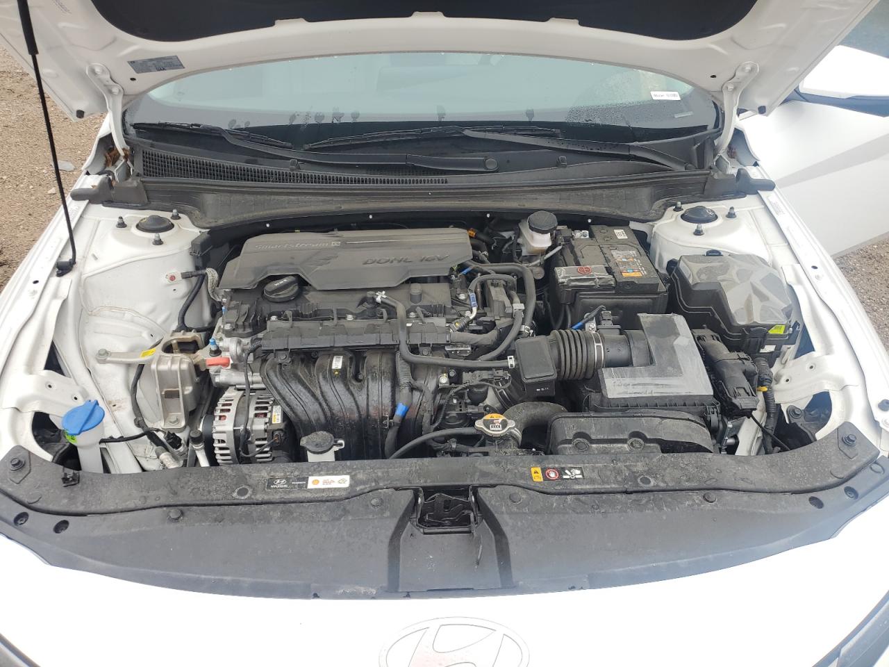 2024 Hyundai Elantra Limited VIN: KMHLP4DG0RU817543 Lot: 54535815