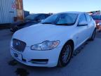 2011 JAGUAR XF EXECUTI for sale at Copart PETERLEE