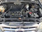 2012 Ford Escape Limited იყიდება Orlando-ში, FL - Rear End
