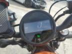 2019 HONDA CMX300    for sale at Copart VA - FREDERICKSBURG