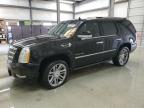 2013 Cadillac Escalade Platinum იყიდება New Braunfels-ში, TX - Side