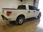 2014 Ford F150 Supercrew იყიდება San Antonio-ში, TX - Minor Dent/Scratches