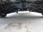 2024 FORD TOURNEO CU for sale at Copart ROCHFORD