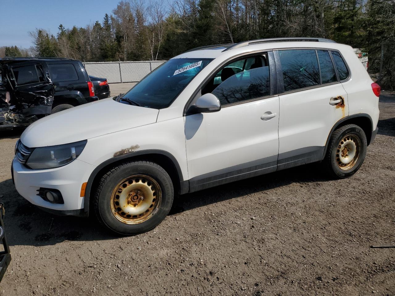 2013 Volkswagen Tiguan S for Sale in Cookstown, ON - Front End
