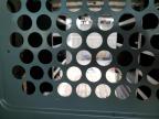 2015 Nissan Nv 2500 for Sale in Opa Locka, FL - Front End