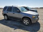 2007 Ford Escape Xlt for Sale in Earlington, KY - Hail