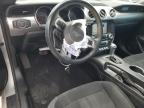 2019 Ford Mustang  for Sale in Houston, TX - All Over