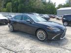Midway, FL에서 판매 중인 2020 Lexus Es 350 Ultra Luxury - Rear End