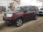 2012 Honda Pilot Exl en Venta en Ham Lake, MN - Minor Dent/Scratches