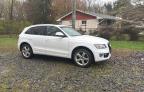 2010 Audi Q5 Premium Plus for Sale in Chalfont, PA - Front End