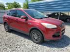 2014 Ford Escape Titanium for Sale in Augusta, GA - Front End