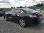 2014 Nissan Maxima S for Sale in Riverview, FL - Side