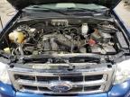 2008 Ford Escape Xlt en Venta en Ham Lake, MN - All Over