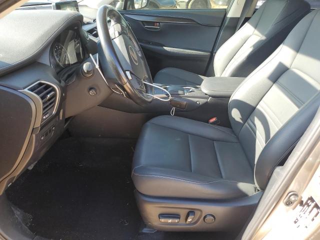  LEXUS NX 2020 Gray