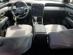 2024 Hyundai Santa Cruz Sel for Sale in Greenwell Springs, LA - Front End