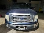 2013 Ford F150 Supercrew en Venta en Lufkin, TX - Side