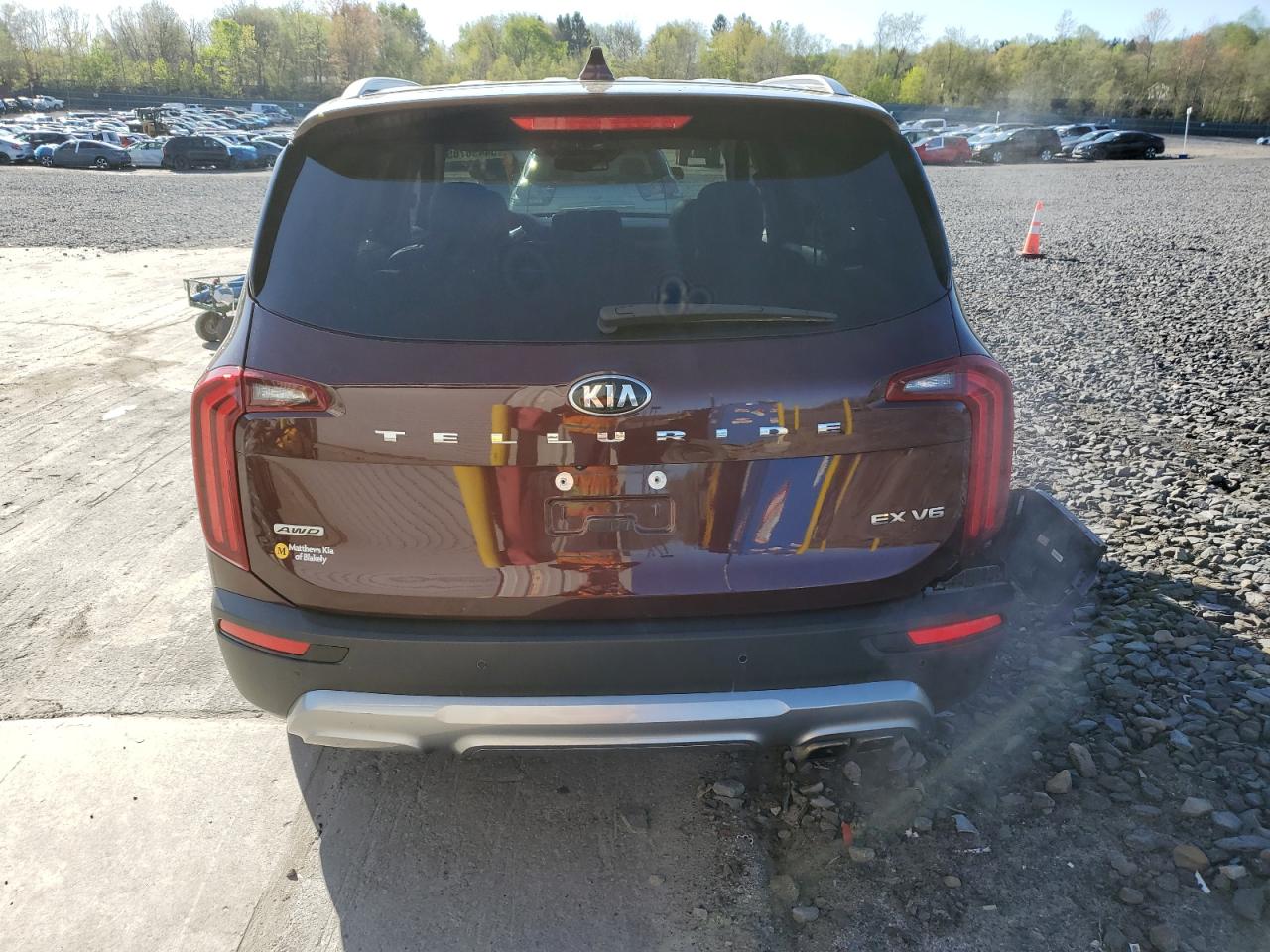 2020 Kia Telluride Ex VIN: 5XYP3DHC9LG032973 Lot: 54496785