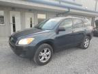 2012 Toyota Rav4  for Sale in Earlington, KY - Hail