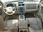2009 Ford Escape Xlt de vânzare în Lebanon, TN - Front End