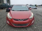 2013 Hyundai Elantra Gls na sprzedaż w Earlington, KY - Hail