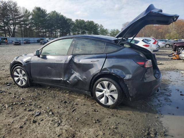  TESLA MODEL Y 2024 Gray