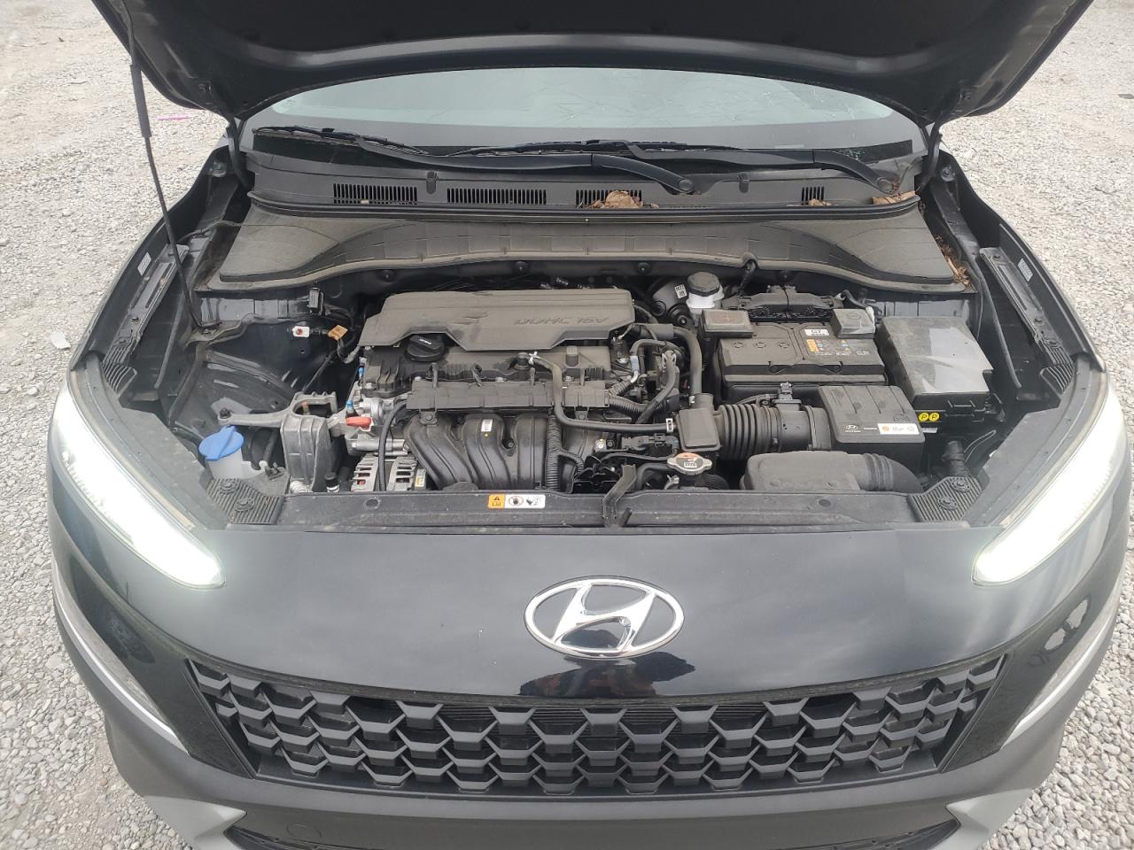 2023 Hyundai Kona Sel VIN: KM8K6CAB7PU936771 Lot: 53339705