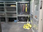 2017 Ford Transit T-250 for Sale in Mcfarland, WI - Minor Dent/Scratches