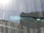 2019 Cadillac Escalade Luxury zu verkaufen in Wilmer, TX - Minor Dent/Scratches