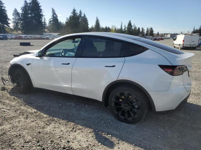  TESLA MODEL Y 2023 Белый