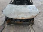 2024 Hyundai Santa Cruz Sel na sprzedaż w Oklahoma City, OK - Burn
