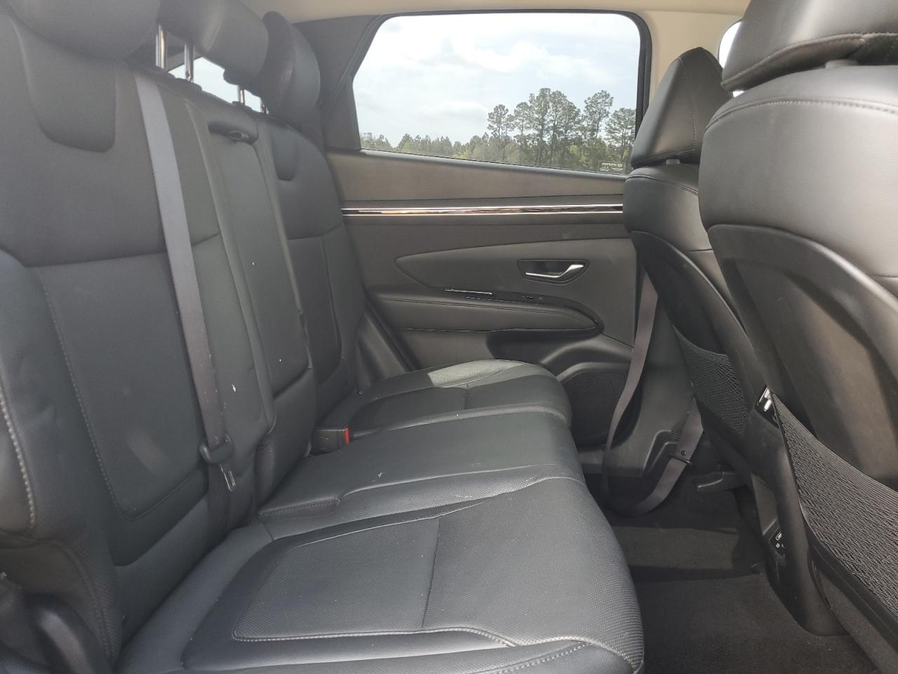 2023 Hyundai Tucson Limited VIN: 5NMJECAE5PH202912 Lot: 53289105