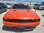 2009 Dodge Challenger R/T en Venta en Haslet, TX - Hail