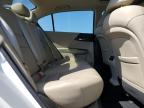 2014 Honda Accord Exl for Sale in Arcadia, FL - All Over