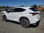 2019 Lexus Nx 300 Base de vânzare în Hillsborough, NJ - Front End