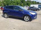 2013 Ford Escape Se en Venta en Shreveport, LA - Hail