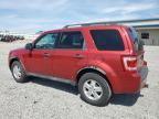 2012 Ford Escape Xlt for Sale in Earlington, KY - Hail