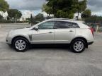2013 Cadillac Srx Luxury Collection на продаже в Opa Locka, FL - Water/Flood