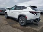 2022 Hyundai Tucson Blue na sprzedaż w Pennsburg, PA - Rear End