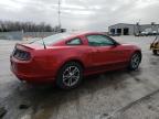 2013 Ford Mustang  للبيع في Rogersville، MO - Hail