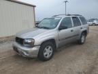 2003 Chevrolet Trailblazer  იყიდება Temple-ში, TX - Front End