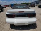 1999 Pontiac Firebird  for Sale in Midway, FL - Minor Dent/Scratches